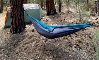 Camping near Yama Yoga Retreat: Camp Durrwood, Big Bear City, California