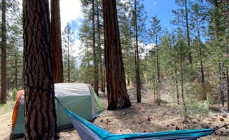 Walid D.'s photo at Camp Durrwood near Big Bear City, CA