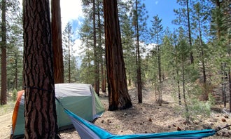 Camping near Juniper Springs Group Campground: Camp Durrwood, Big Bear City, California