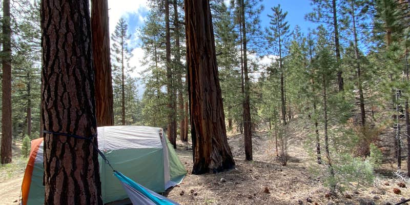 Camper submitted image from Camp Durrwood