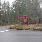 Review photo of Goodell Creek Campground — Ross Lake National Recreation Area by Natalie B., October 1, 2018