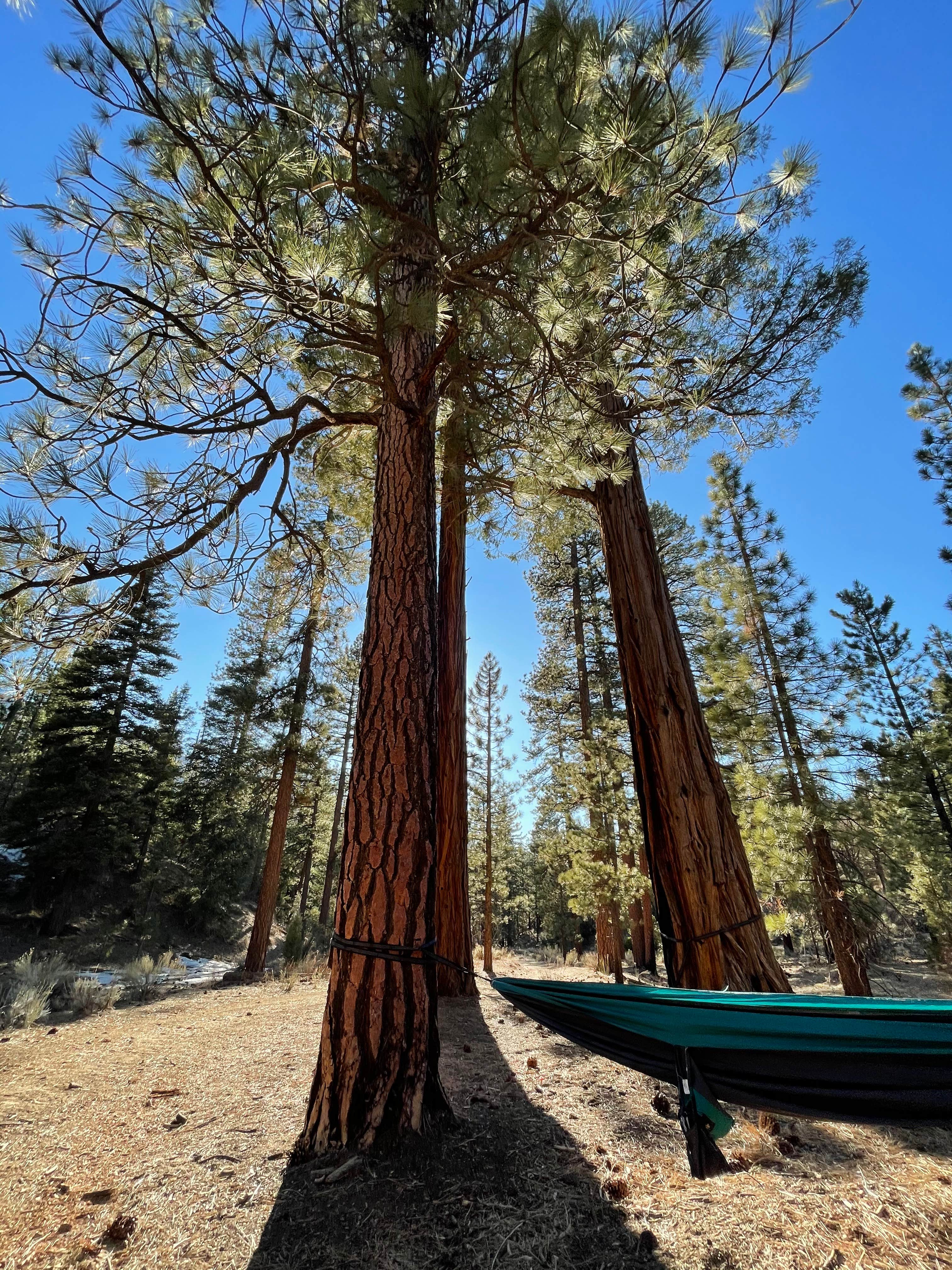 Camper-submitted photo at Camp Durrwood near Barstow, CA