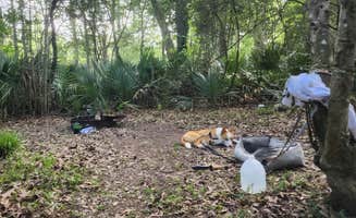 christine T.'s photo of camping with pets at Palmetto Island State Park Campground near Franklin, LA