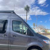 Review photo of Joshua Tree RV & Campground by Mark , March 26, 2023