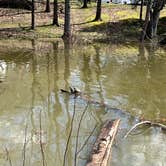 Review photo of Lake Charles State Park Campground by Carrie B., March 26, 2023