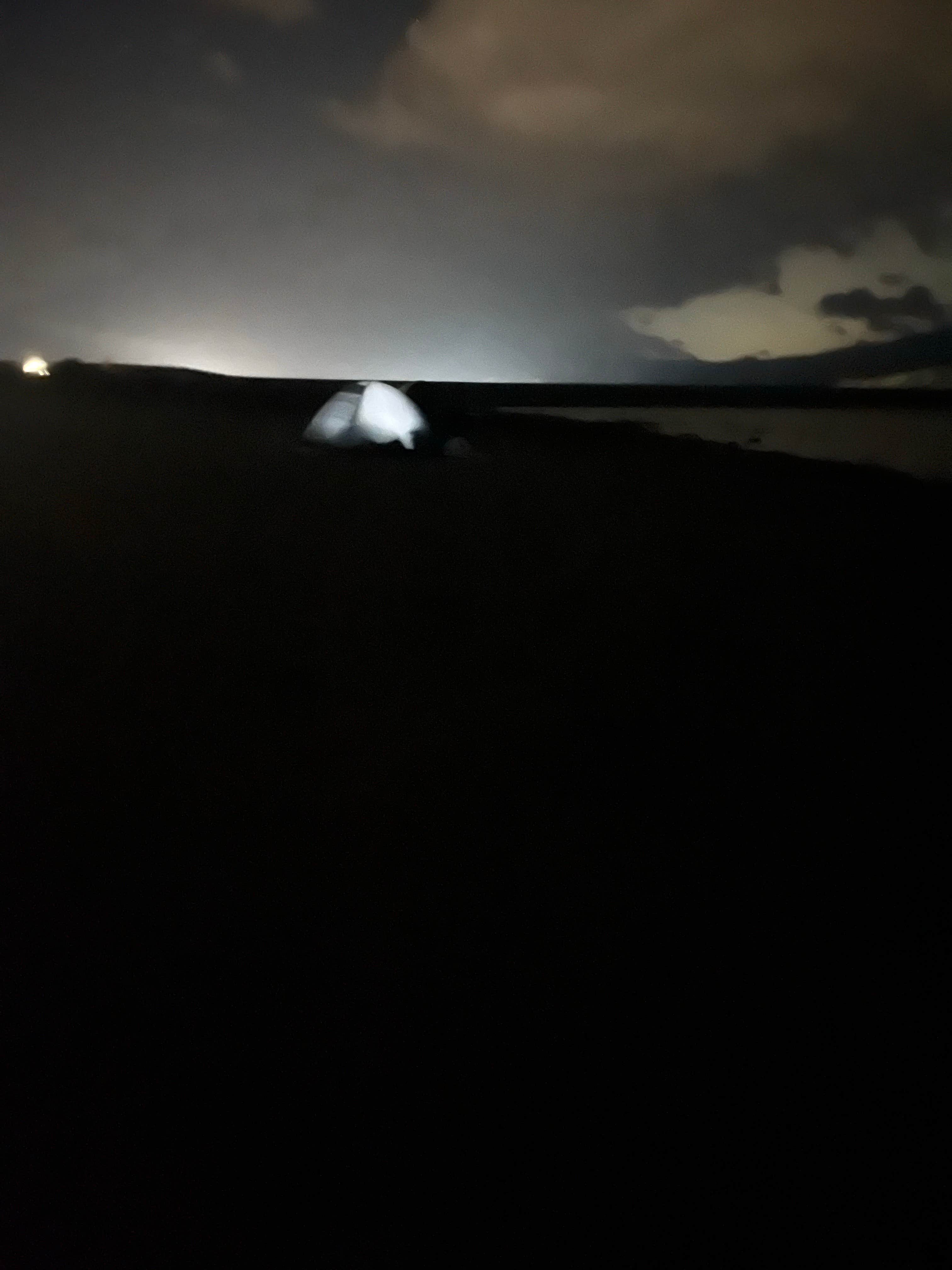 bryan's photo at Auxiliary Dam Recreation Site near Onyx, CA