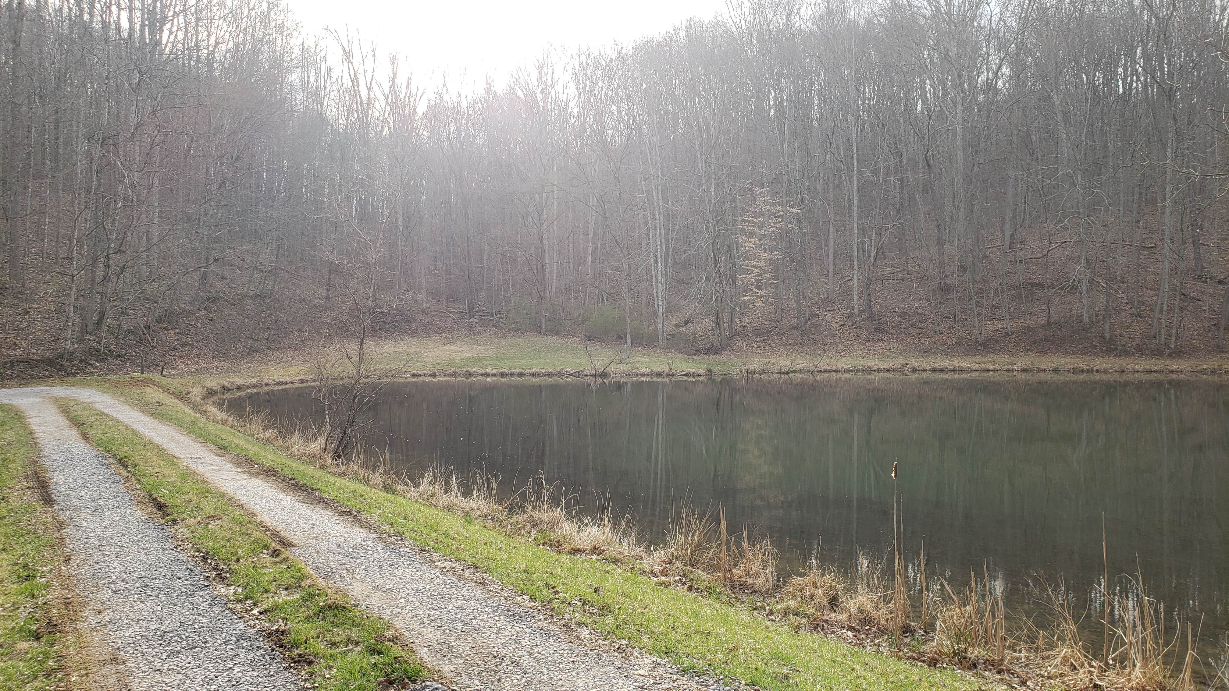 Camper-submitted photo at Goforth Mountain Homestead near Bland, VA