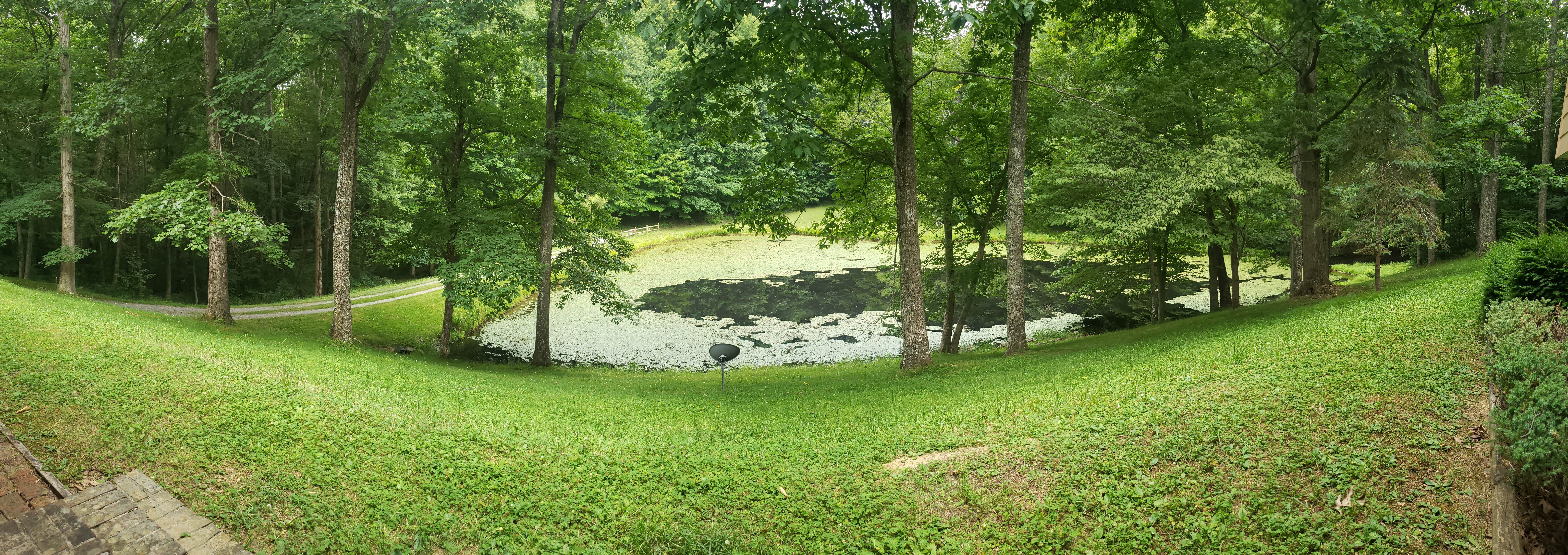 Camper-submitted photo at Goforth Mountain Homestead near Bland, VA