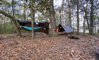 Edward W.'s photo at Fort Braden Tract Primitive Campsites — Lake Talquin State Forest near Tallahassee, FL