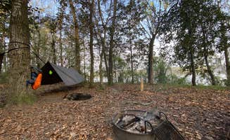 Edward W.'s photo of camping with pets at Fort Braden Tract Primitive Campsites — Lake Talquin State Forest near Havana, FL