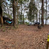 Review photo of Fort Braden Tract - Lake Talquin State Forest by Edward W., March 26, 2023