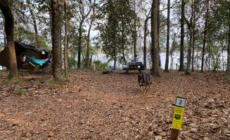Edward W.'s photo at Fort Braden Tract Primitive Campsites — Lake Talquin State Forest near Quincy, FL