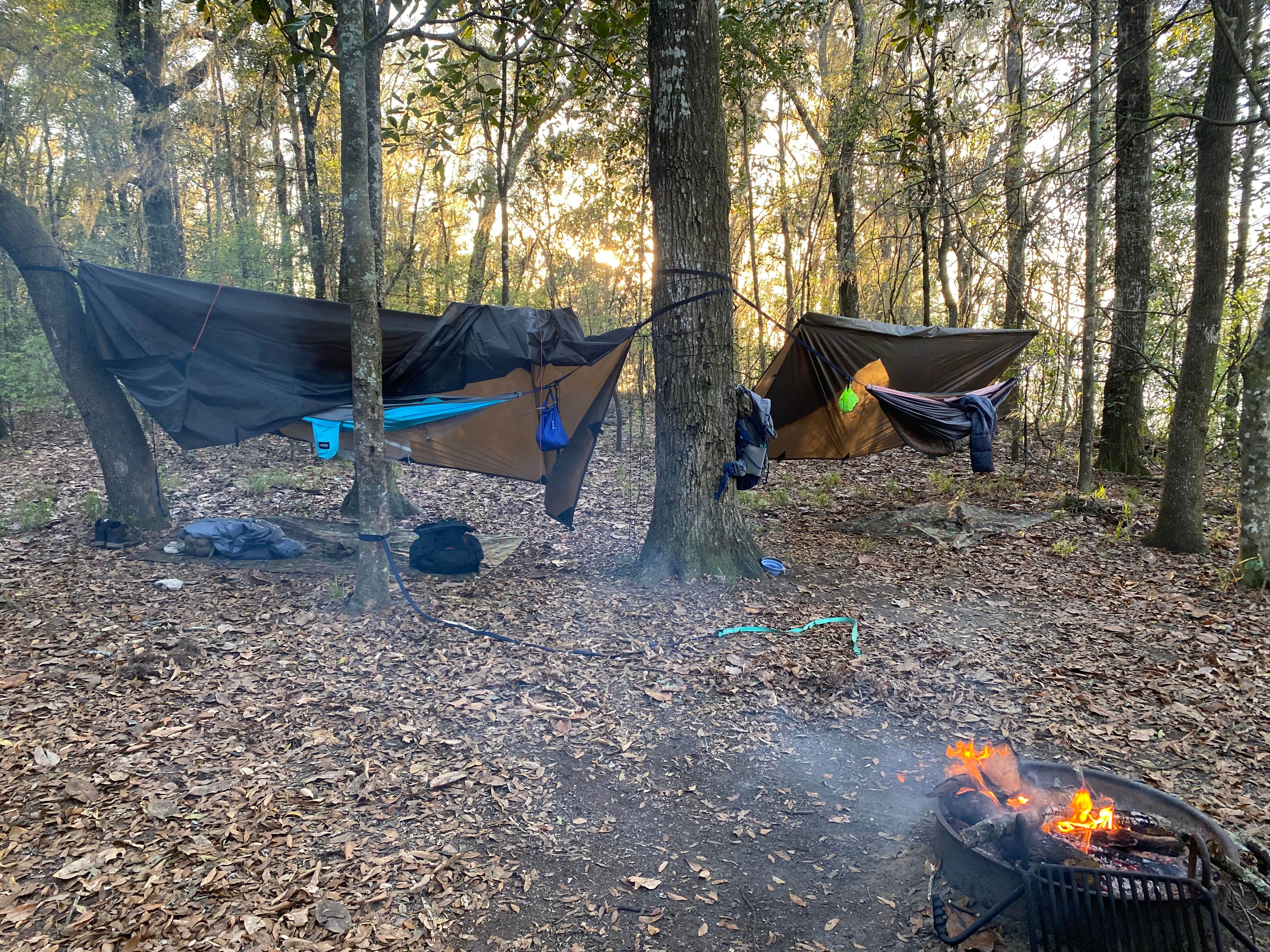 Edward W.'s photo at Fort Braden Tract Primitive Campsites — Lake Talquin State Forest near Wacissa, FL