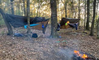 Edward W.'s photo of tent camping at Fort Braden Tract Primitive Campsites — Lake Talquin State Forest near Midway, FL