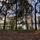 Review photo of Fort Braden Tract - Lake Talquin State Forest by Edward W., March 26, 2023