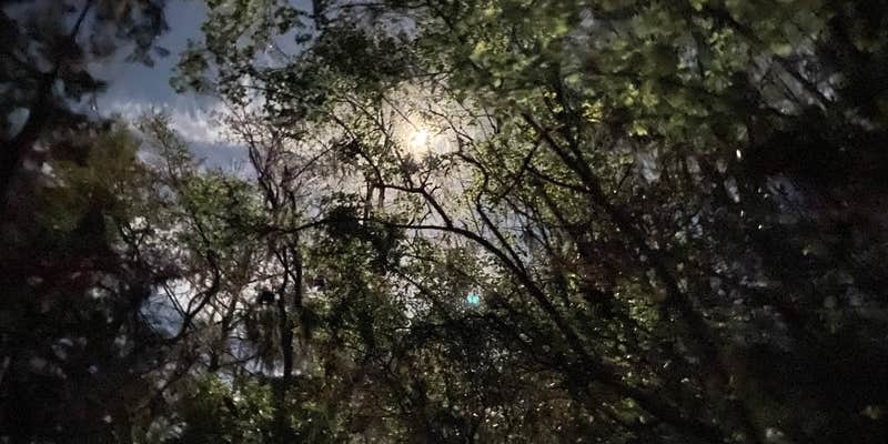 Camper submitted image from Fort Braden Tract Primitive Campsites — Lake Talquin State Forest