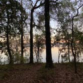 Review photo of Fort Braden Tract - Lake Talquin State Forest by Edward W., March 26, 2023