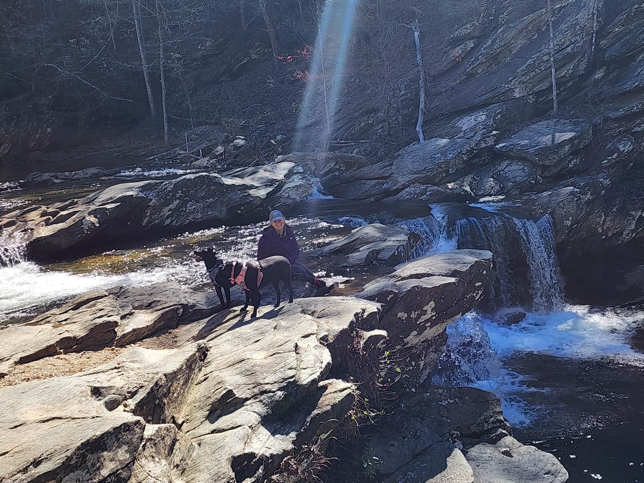 Sarah P.'s photo of camping with pets at Upper Improved Campground — Cheaha State Park near Dadeville, AL