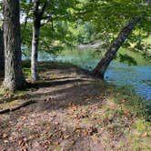 Review photo of Upper Manistee River by Dan K., March 26, 2023