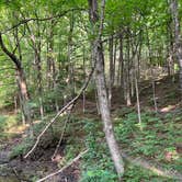 Review photo of Upper Manistee River by Dan K., March 26, 2023