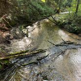 Review photo of Upper Manistee River by Dan K., March 26, 2023