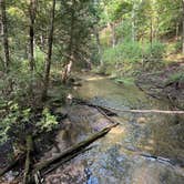 Review photo of Upper Manistee River by Dan K., March 26, 2023