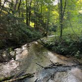 Review photo of Upper Manistee River by Dan K., March 26, 2023