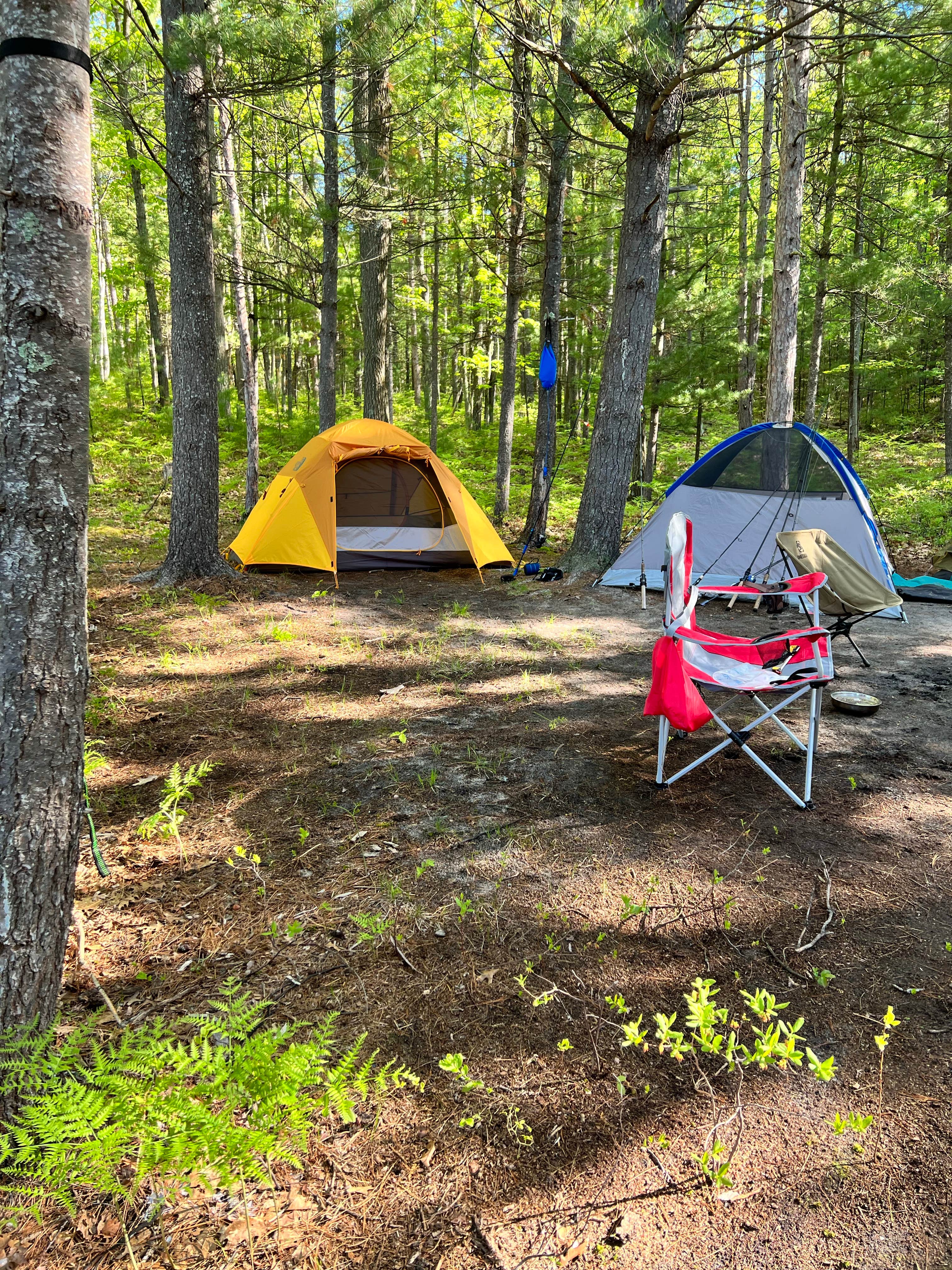 Camper-submitted photo at Sand Lakes Quiet Area Backcountry Campsites near Kingsley, MI