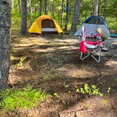 Review photo of Sand Lakes Quiet Area Backcountry Campsites by Dan K., March 26, 2023