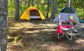 Dan K.'s photo of tent camping at Sand Lakes Quiet Area Backcountry Campsites near Mancelona, MI