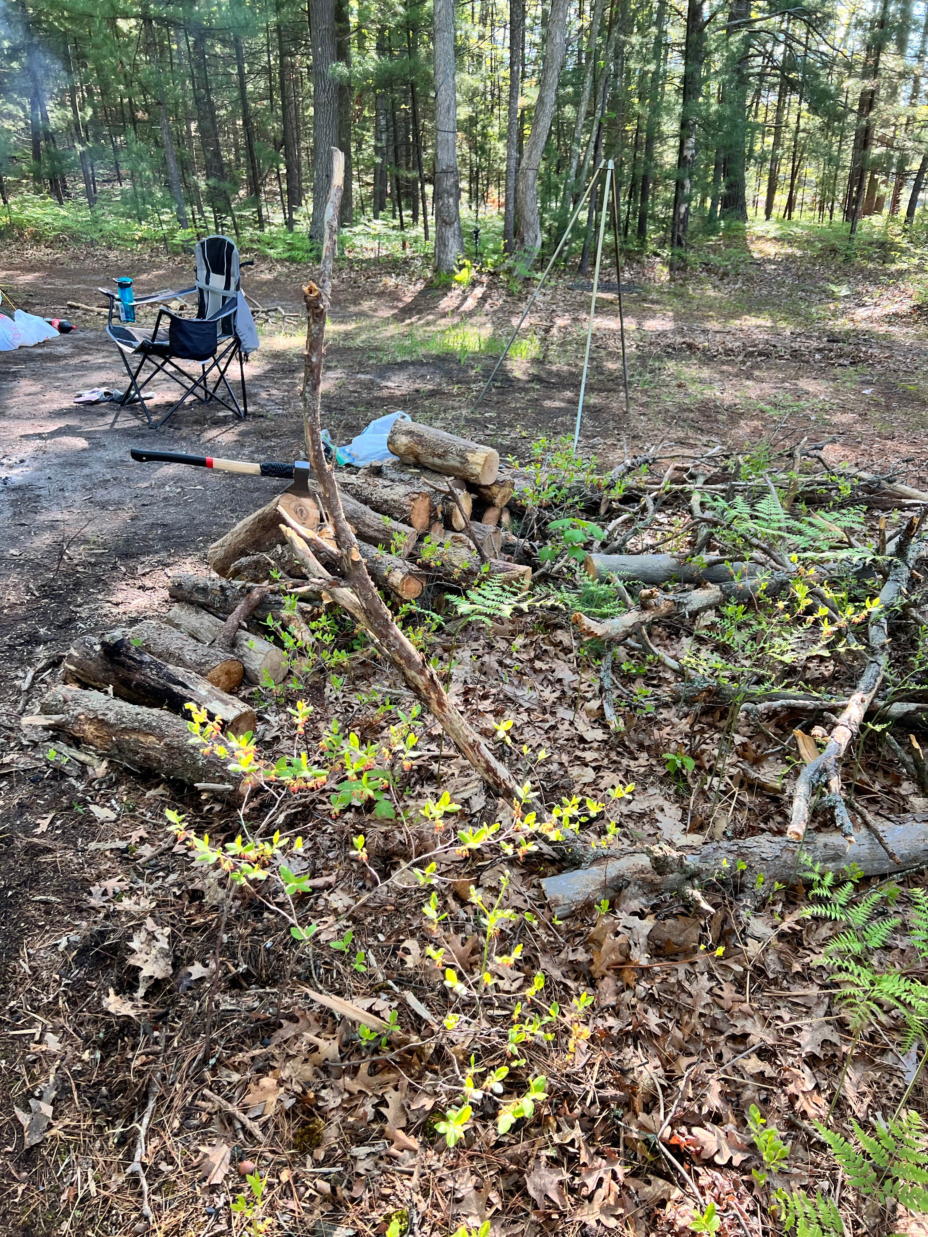 Sand Lakes Quiet Area Backcountry Campsites
