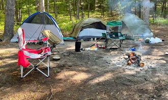 Camping near Arbutus Lake State Forest Campground: Sand Lakes Quiet Area Backcountry Campsites, Williamsburg, Michigan