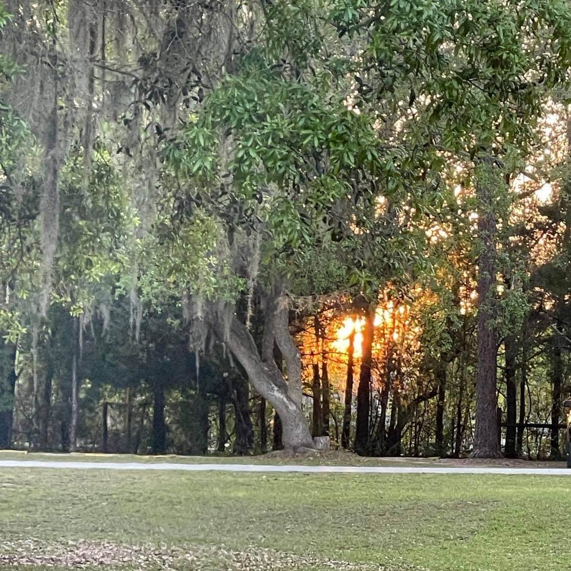 Salt Springs Recreation Area Camping | Salt Springs, Florida