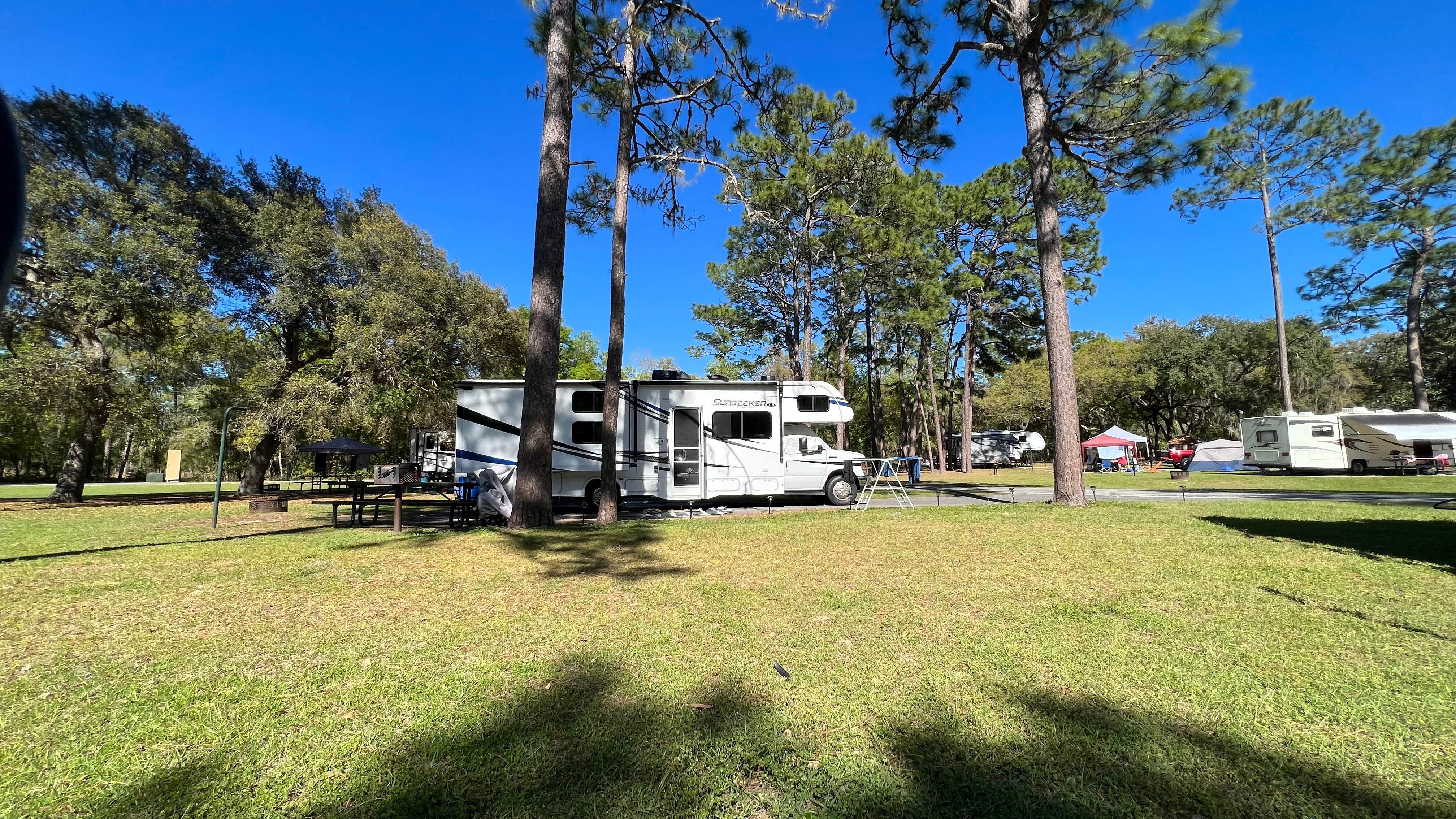 Lorilee S.'s photo at Salt Springs Recreation Area near Fort Mccoy, FL