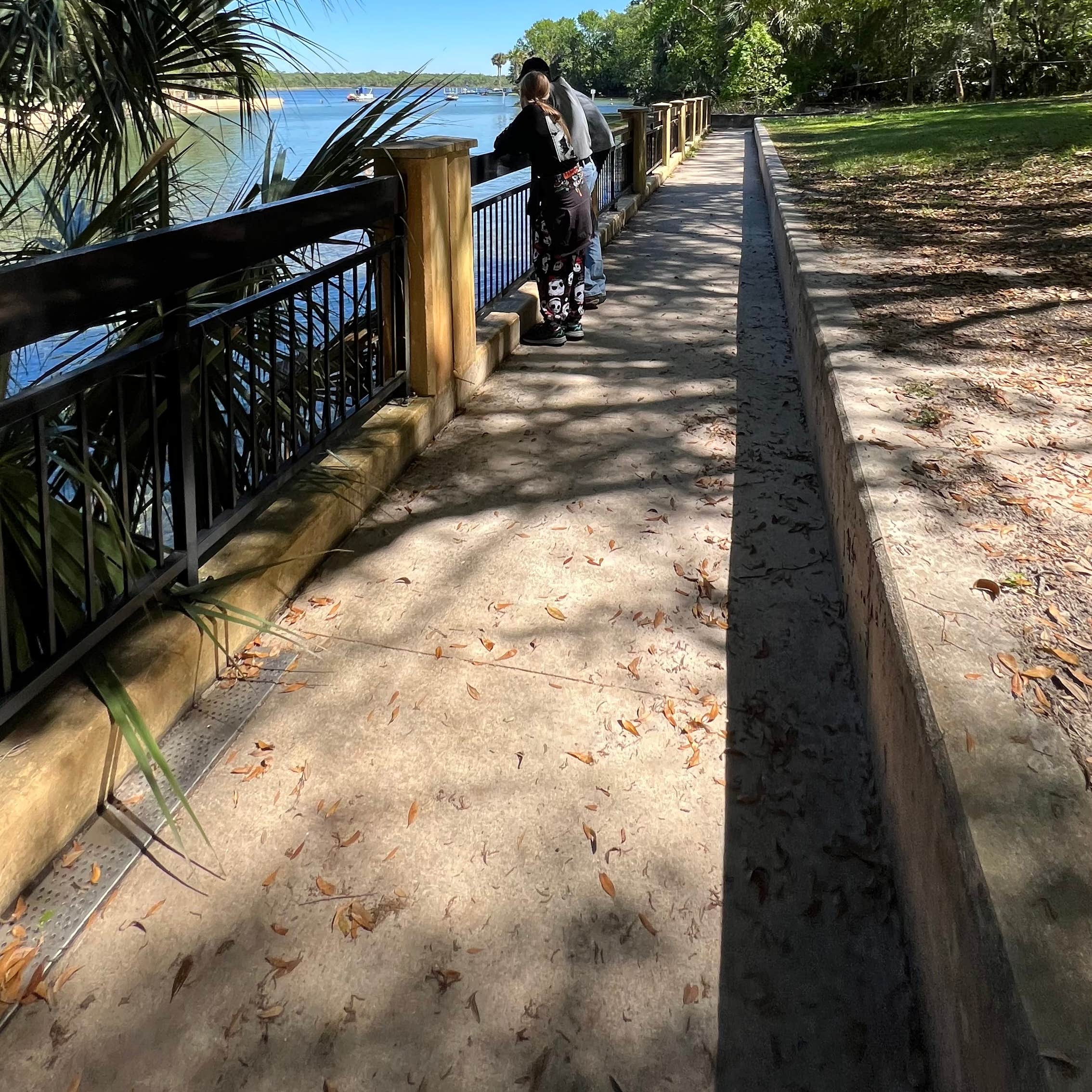 Salt Springs Recreation Area Camping | Salt Springs, Florida