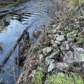 Review photo of Colt Creek State Park Campground by Lorilee S., March 26, 2023