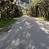 Review photo of Palmetto Ridge Campground — Myakka River State Park by Lorilee S., March 26, 2023