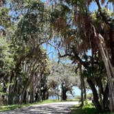 Review photo of Palmetto Ridge Campground — Myakka River State Park by Lorilee S., March 26, 2023