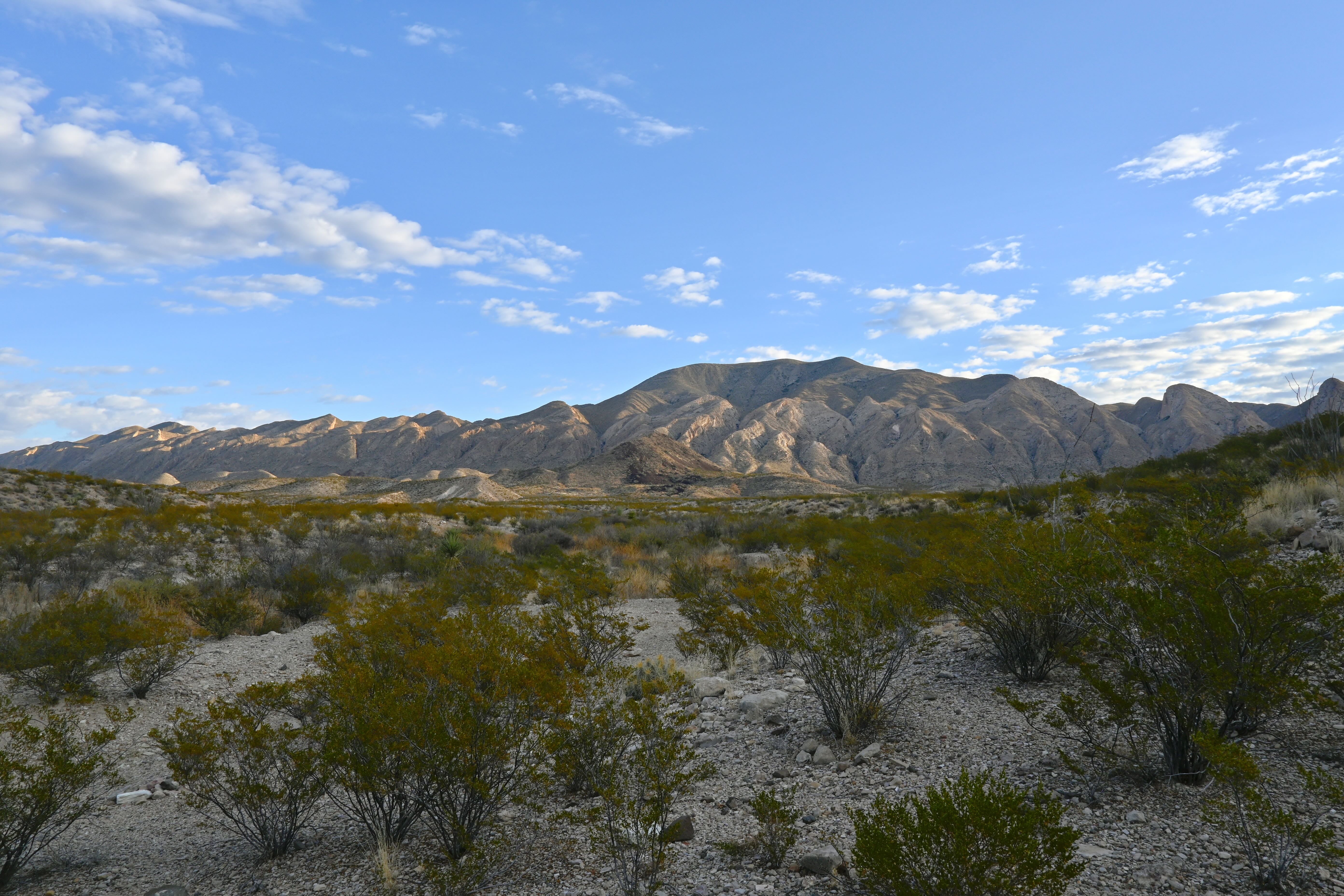 Camper submitted image from Rincon 1 — Big Bend Ranch State Park - 2