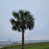 Review photo of Coastline RV Resort & Campground by Jessica J., March 26, 2023