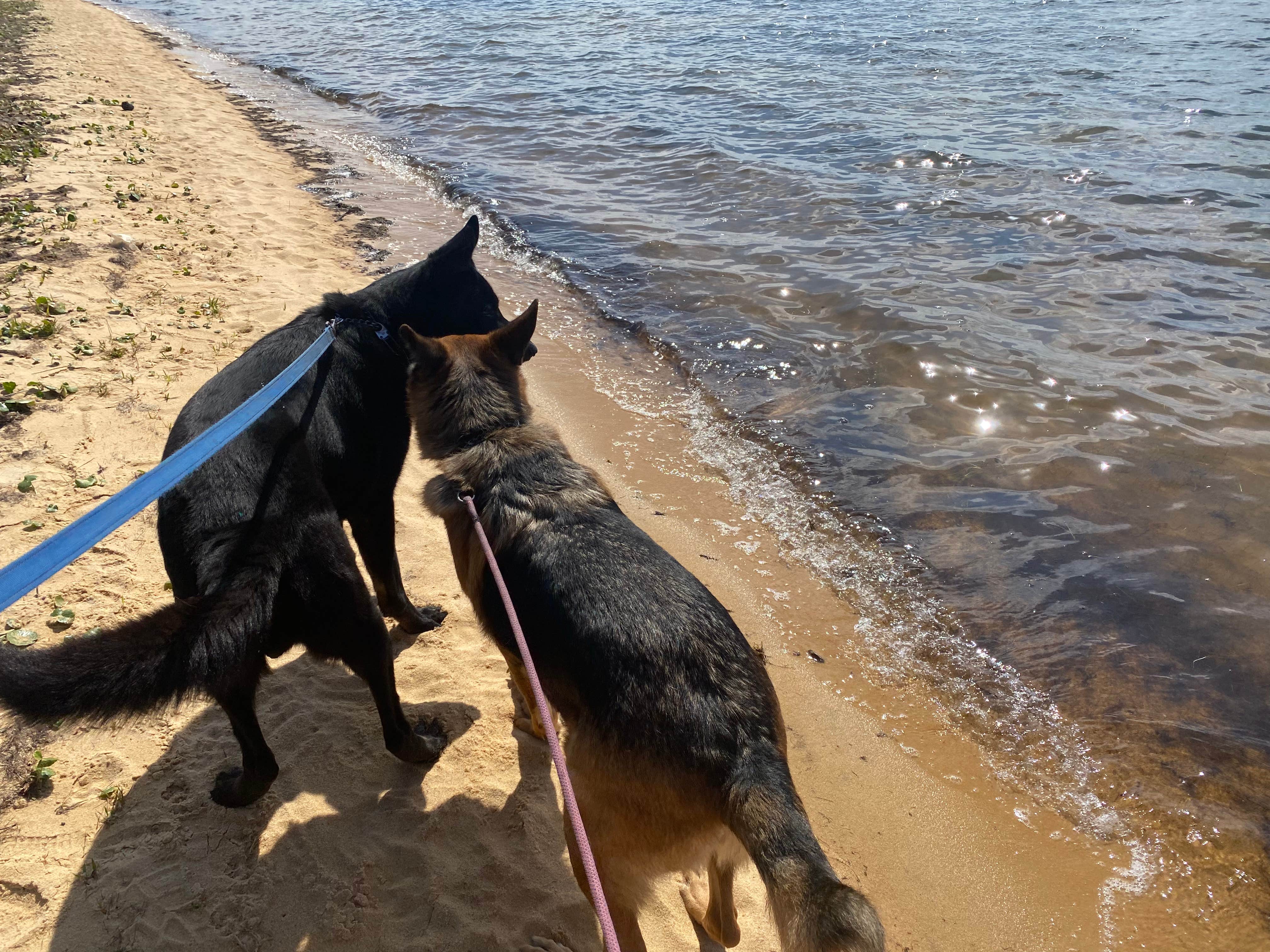 Camper-submitted photo at Eglin AFB FamCamp - Camp Robbins near Shalimar, FL