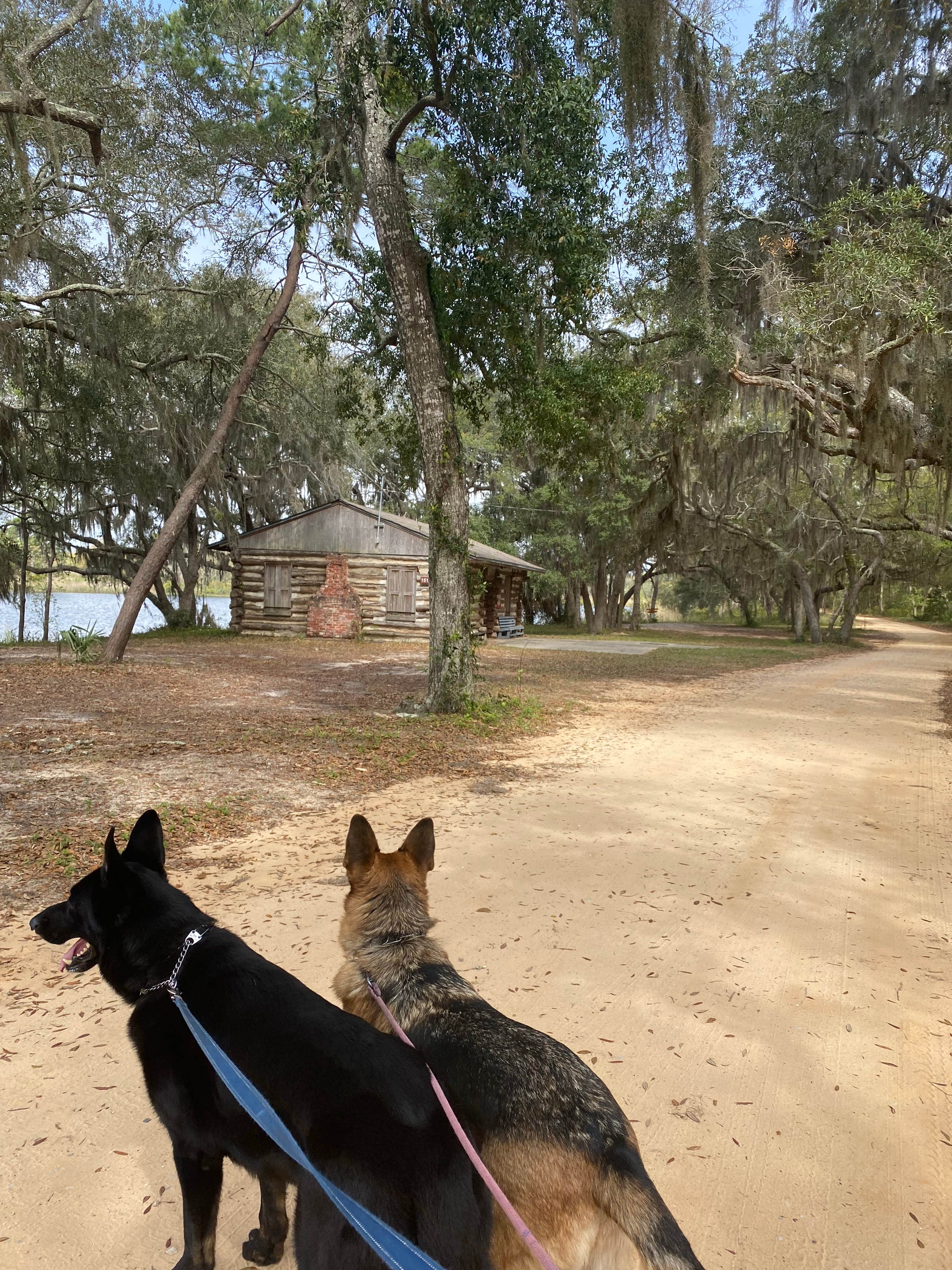 Camper-submitted photo at Eglin AFB FamCamp - Camp Robbins near Shalimar, FL