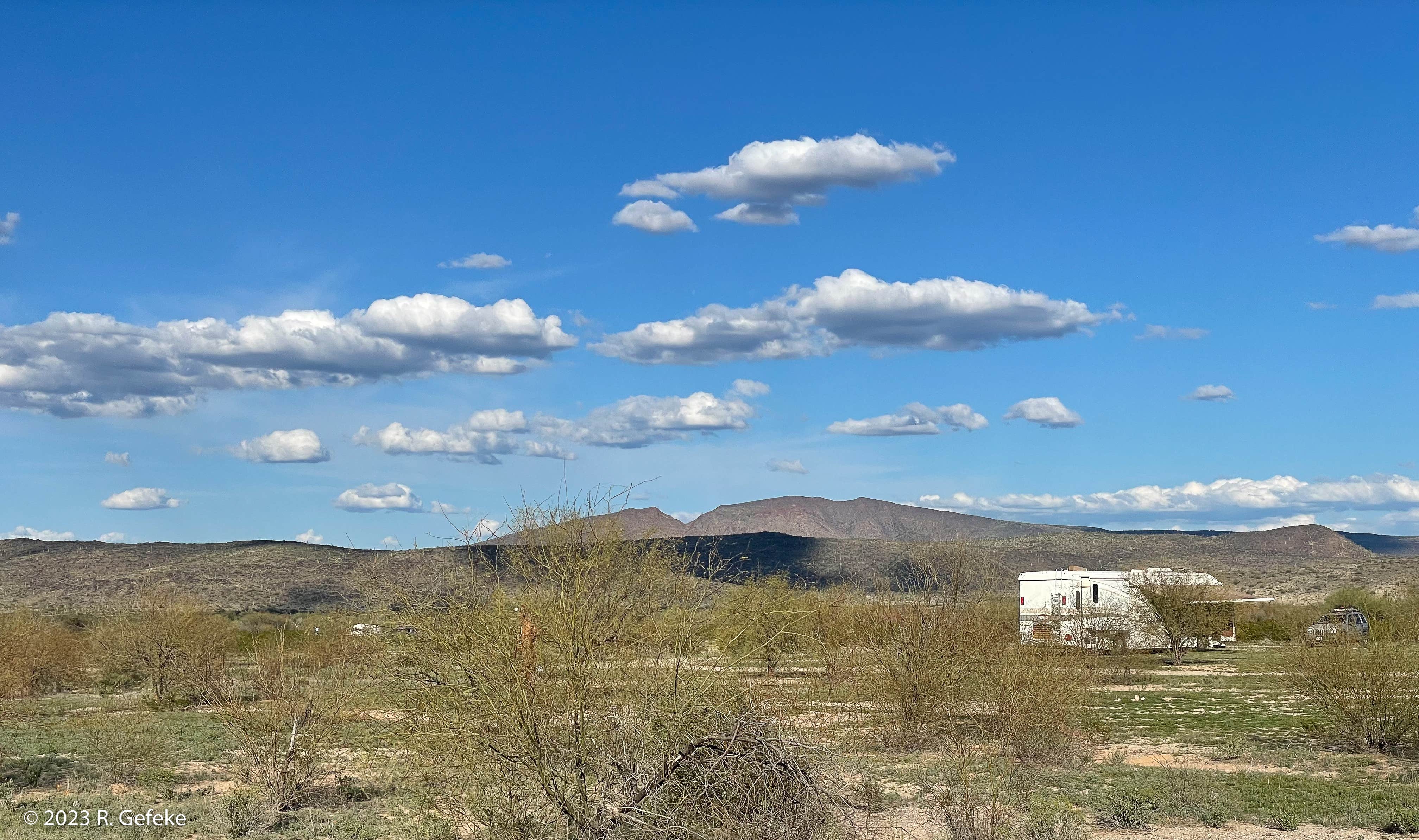 Camper-submitted photo at Ajo Regional Park - Roping Arena Camping Area near Ajo, AZ