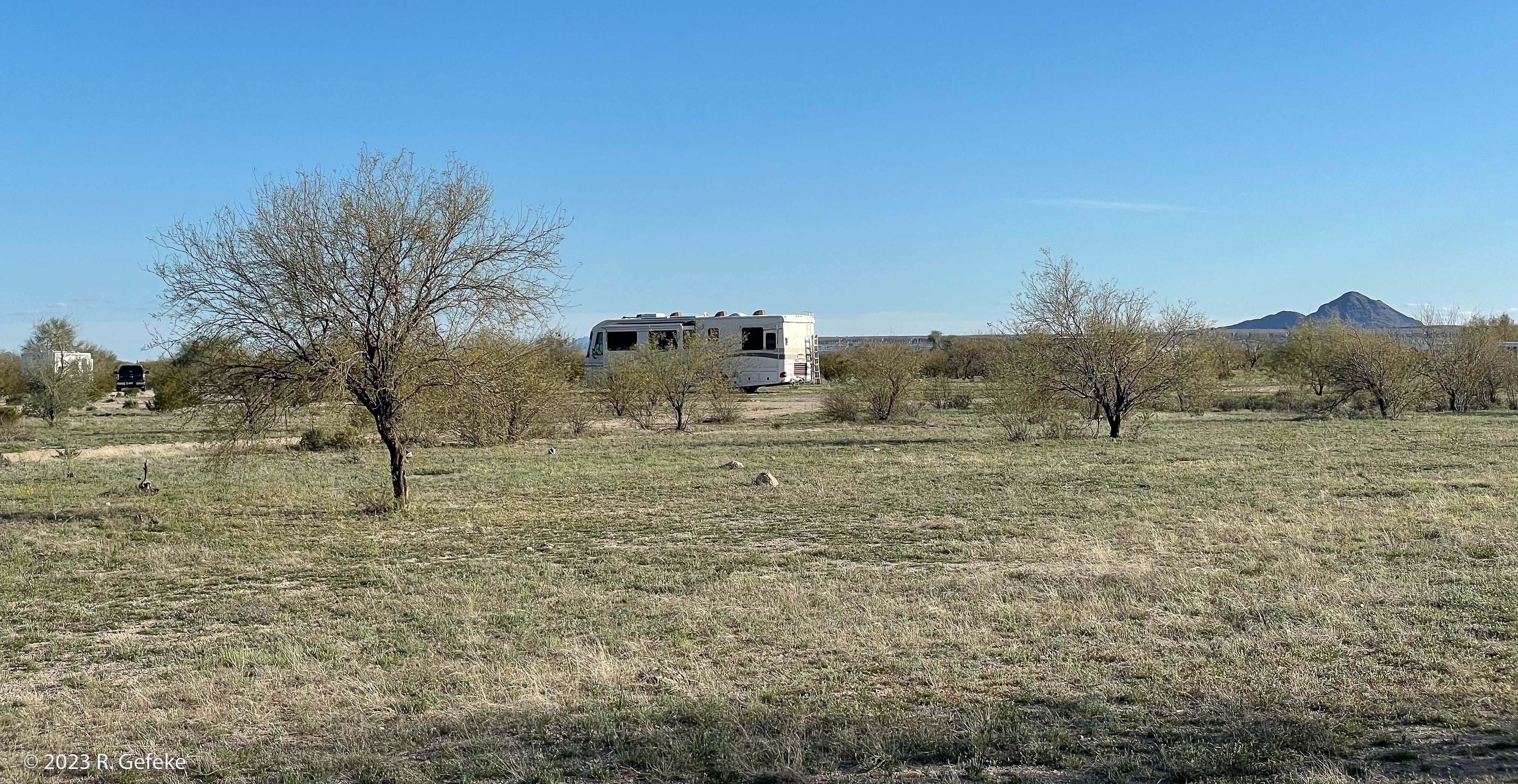 Camper-submitted photo at Ajo Regional Park - Roping Arena Camping Area near Ajo, AZ