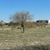 Review photo of Ajo Regional Park - Roping Arena Camping Area by Ruediger G., March 27, 2023