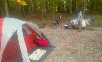 Alisha R.'s photo at Land Between The Lakes National Recreation Area Piney Campground near Martin, TN