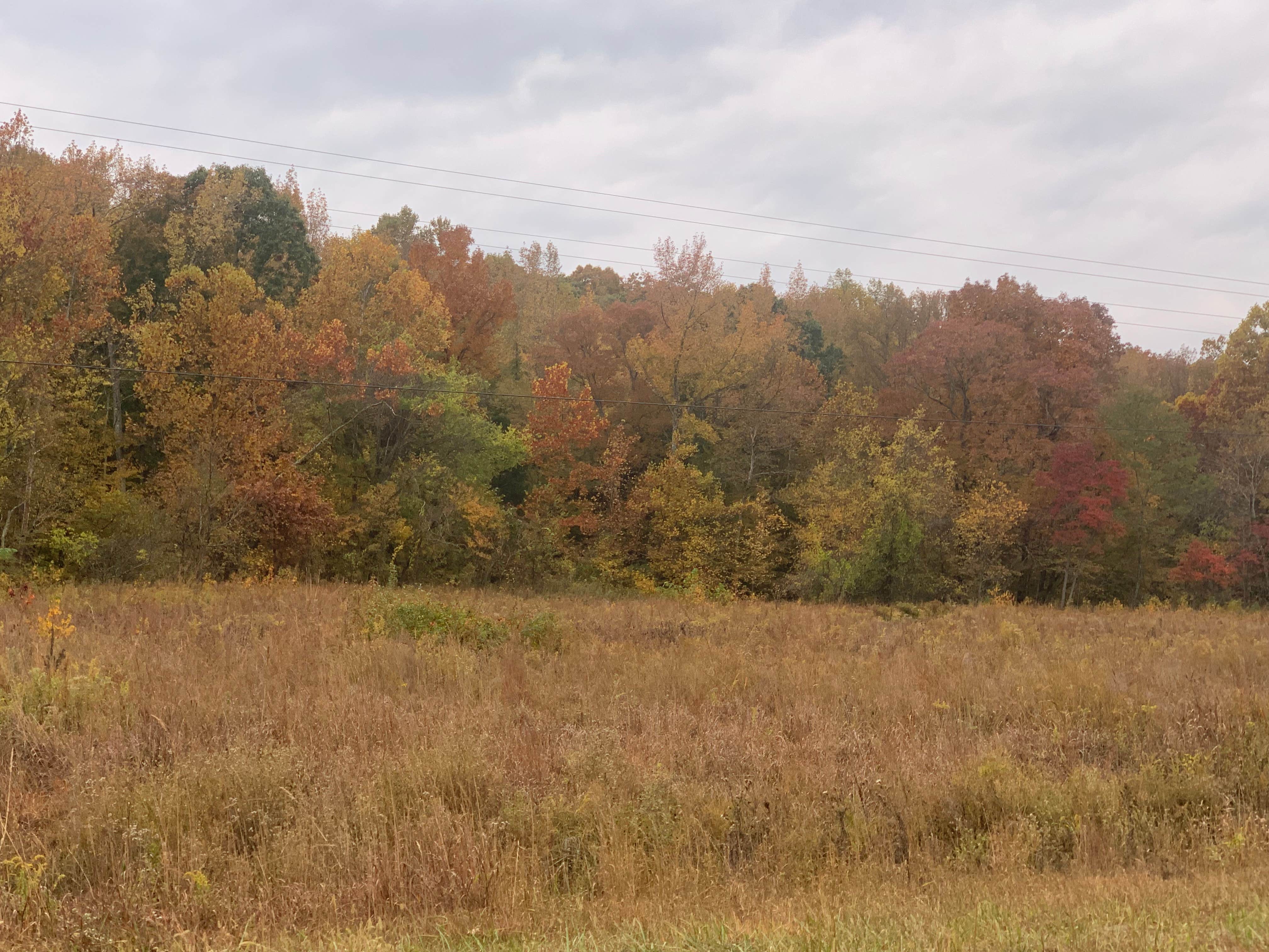 Camper-submitted photo at Land Between The Lakes National Recreation Area Piney Campground near Dresden, TN