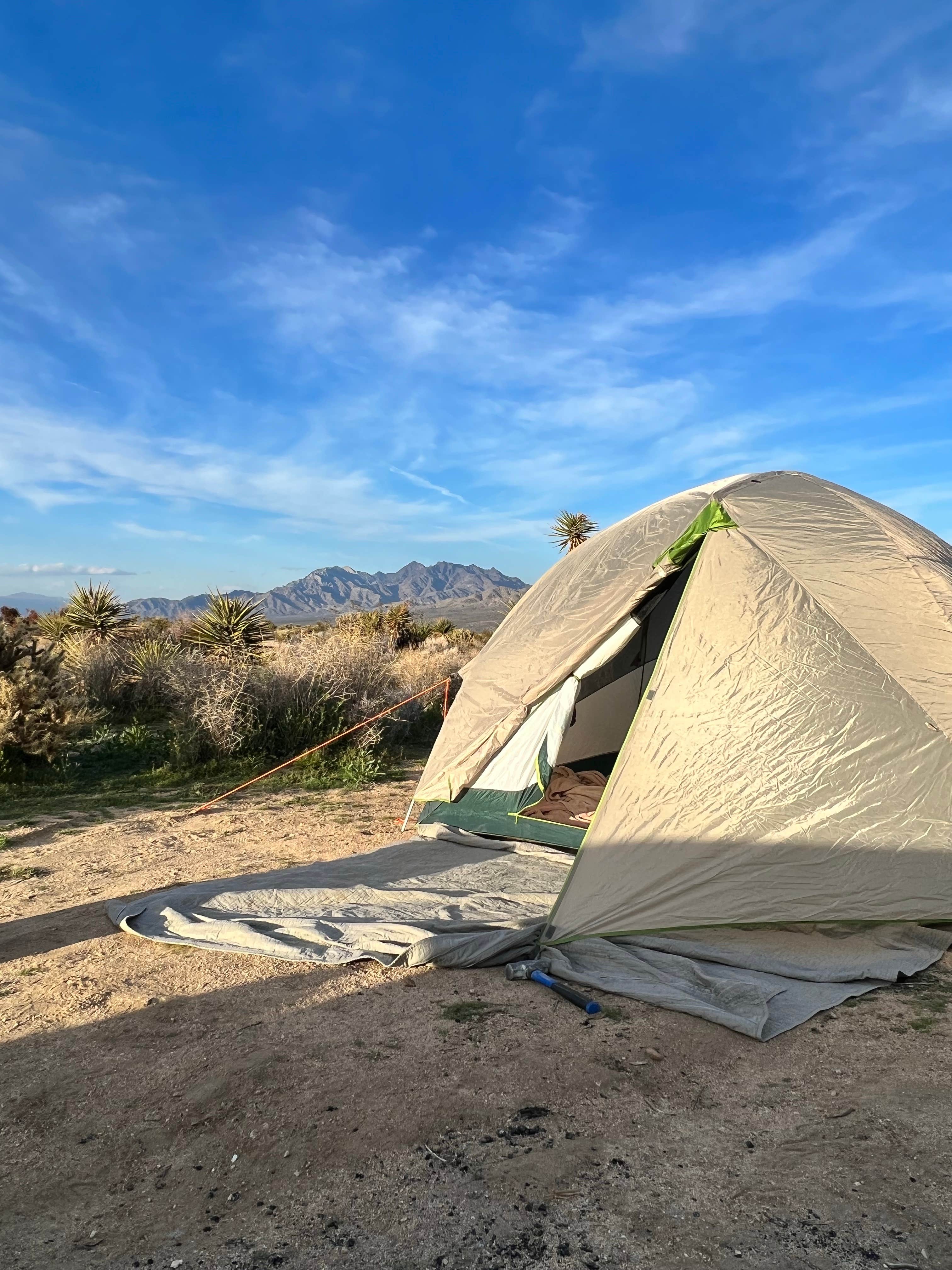 Camper submitted image from Granite Pass Dispersed Roadside Camping — Mojave National Preserve - 5