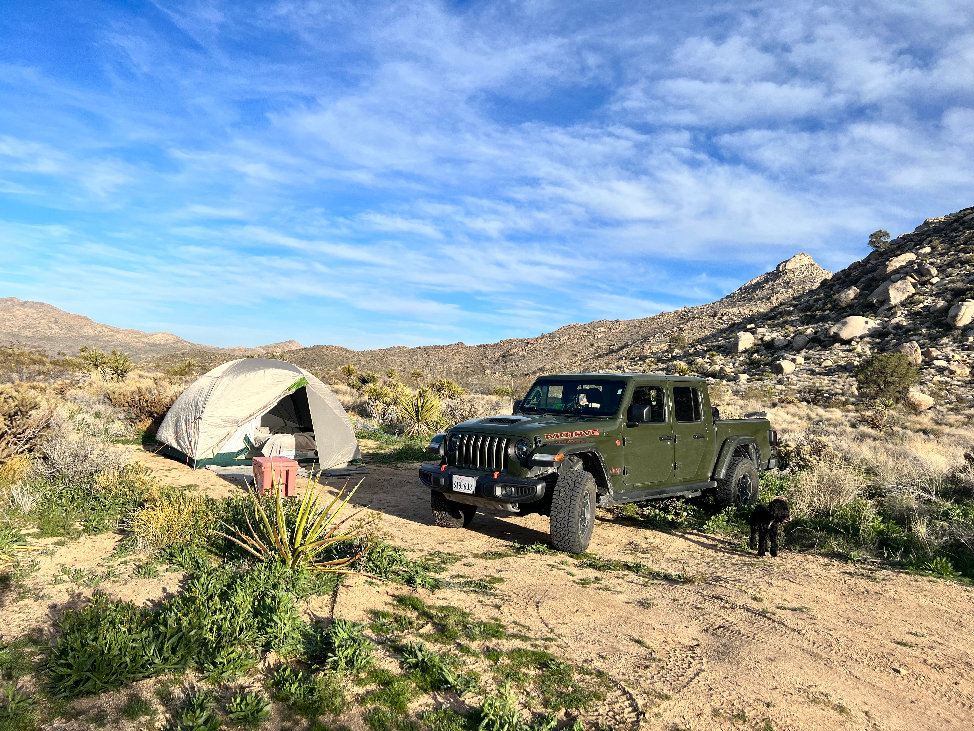 Camper submitted image from Granite Pass Dispersed Roadside Camping — Mojave National Preserve - 5