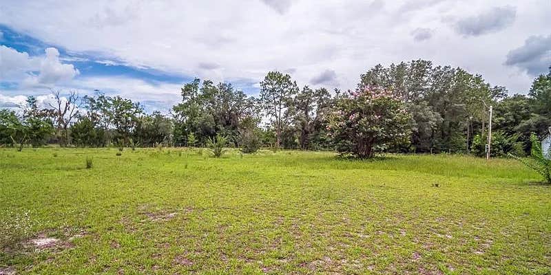 Camper submitted image from Old Town Open Land